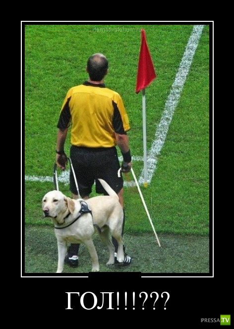 ������������ �� ����, ����� 14 (25 ����)