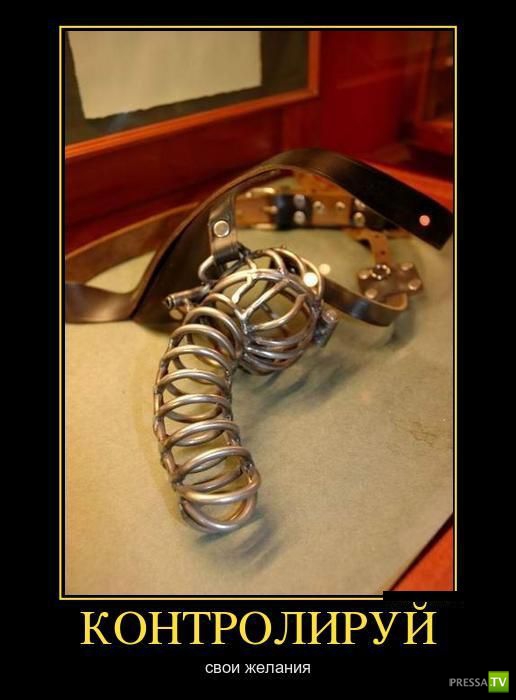 ������������ �� ����, ����� 14 (25 ����)