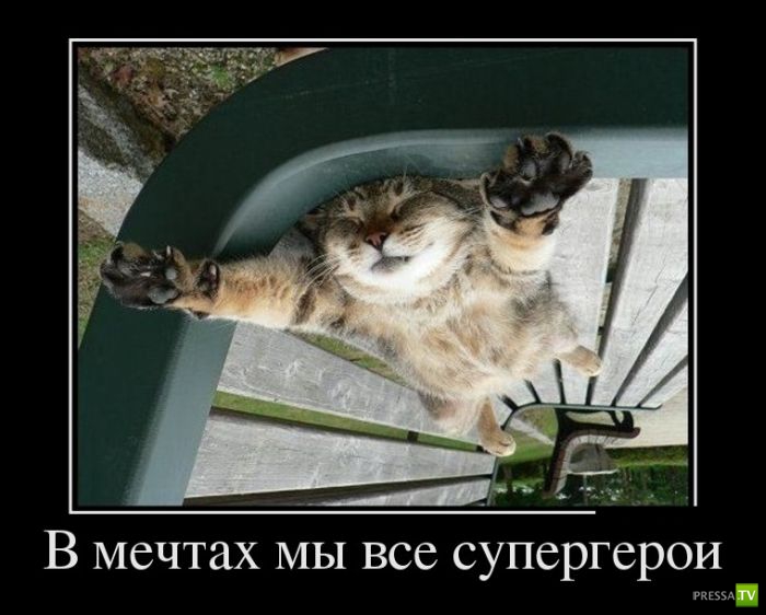 ������������ �� ����, ����� 14 (25 ����)