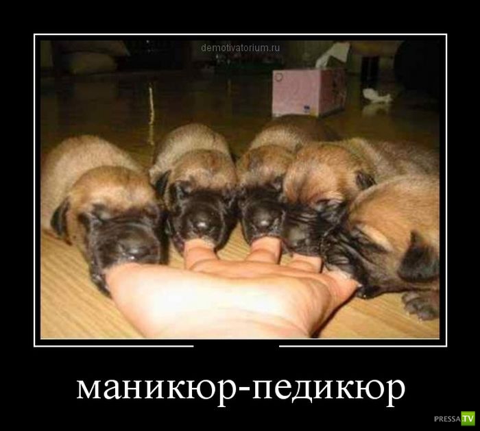 ������������ �� ����, ����� 14 (25 ����)