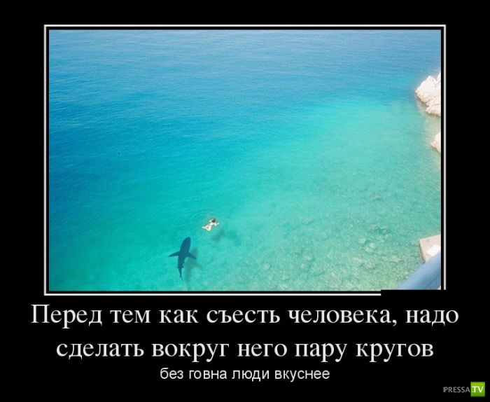 ������������ �� ����, ����� 14 (25 ����)