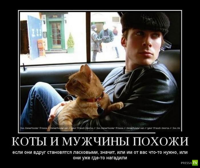 ������������ �� ����, ����� 14 (25 ����)