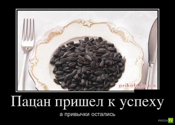 ������������ �� ����, ����� 14 (25 ����)