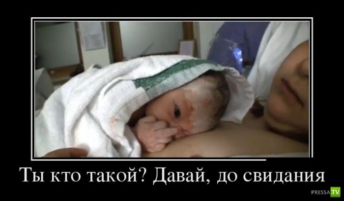 ������������ �� ����, ����� 15 (34 ����)