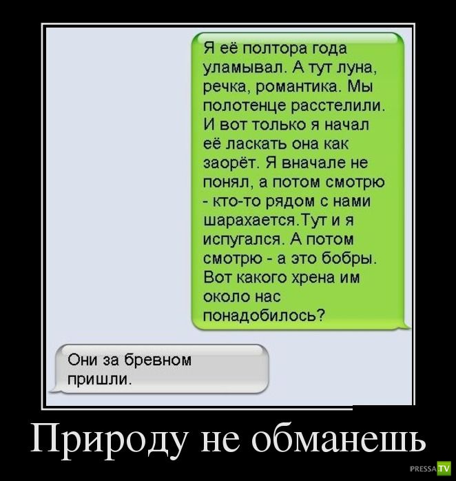 ������������ �� ����, ����� 15 (34 ����)