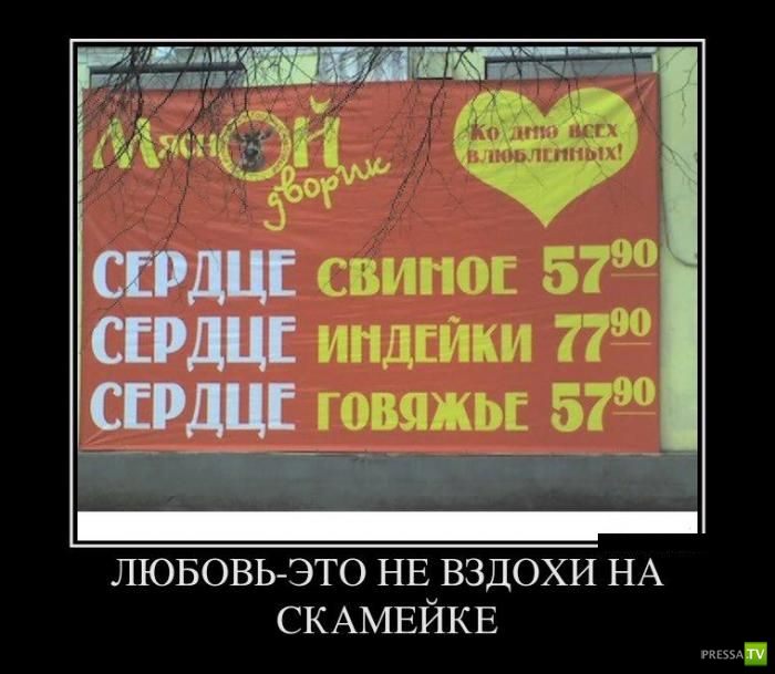 ������������ �� ����, ����� 15 (34 ����)