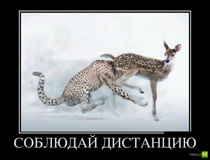 ������������ �� ����, ����� 15 (34 ����)