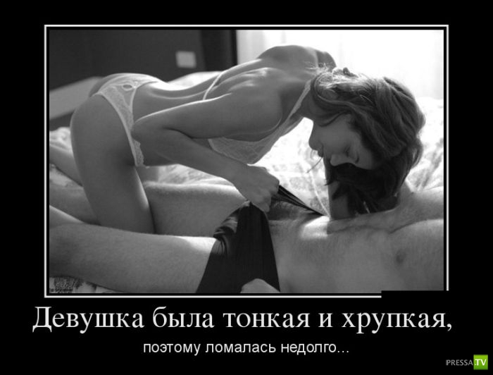 ������������ �� ����, ����� 15 (34 ����)