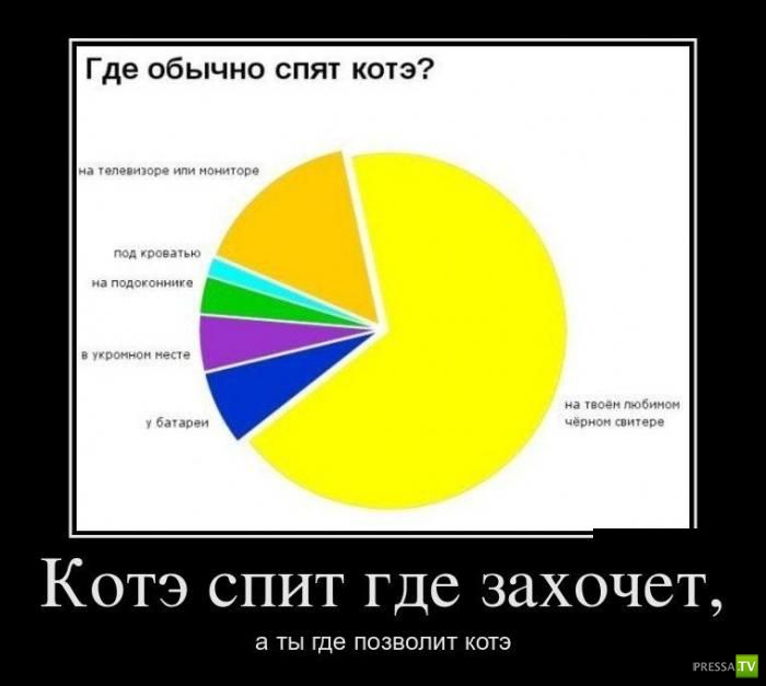 ������������ �� ����, ����� 15 (34 ����)