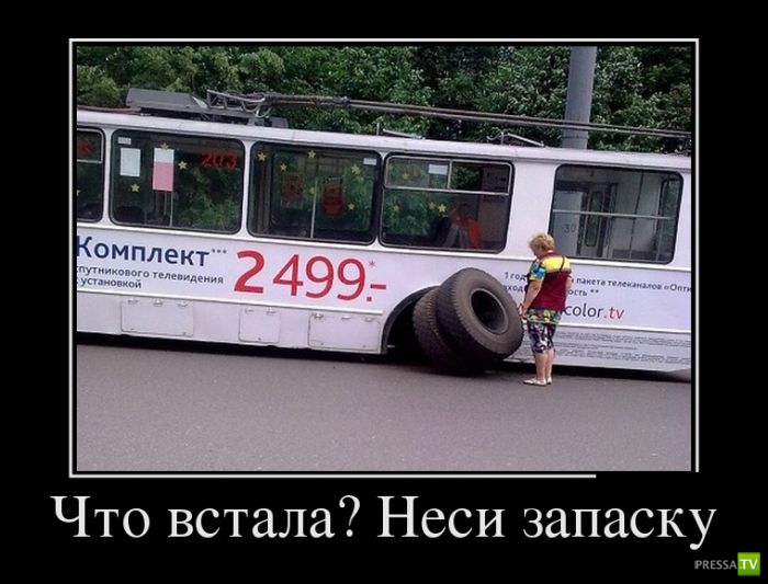 ������������ �� ����, ����� 15 (34 ����)