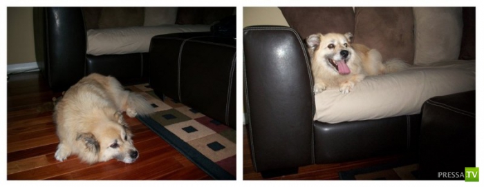 ���� ���� � ���� � ������������... ������������ �������!!! (7 ����)