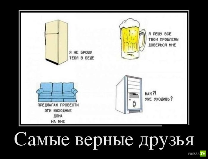 ������������ �� ����, ����� 16 (29 ����)