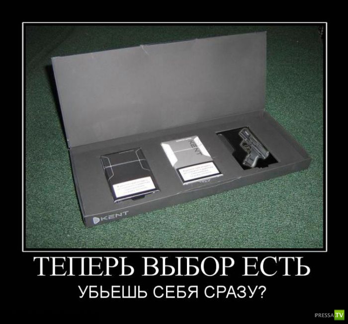 ������������ �� ����, ����� 16 (29 ����)