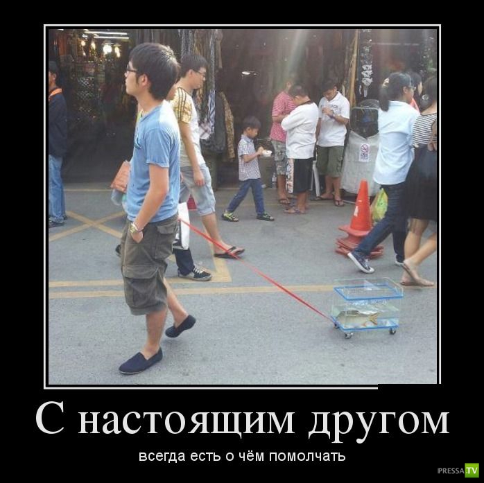 ������������ �� ����, ����� 16 (29 ����)