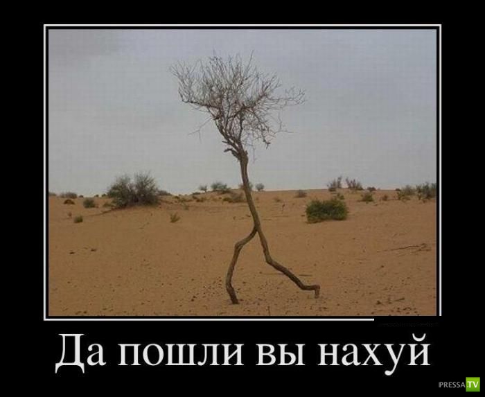 ������������ �� ����, ����� 1 (30 ����)