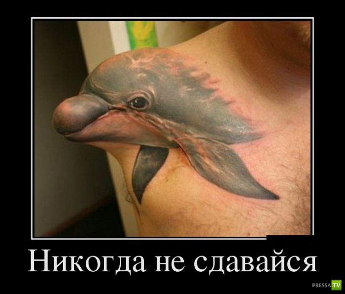 ������������ �� ����, ����� 1 (30 ����)