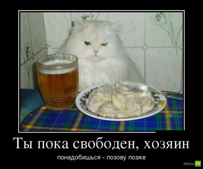 ������������ �� ����, ����� 1 (30 ����)