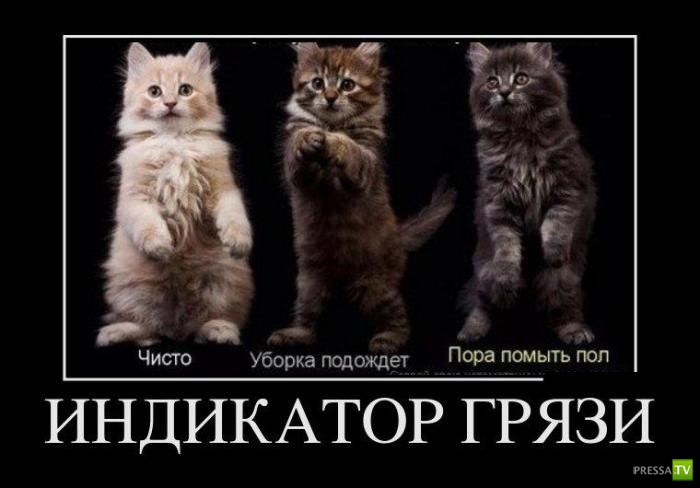 ������������ �� ����, ����� 2 (30 ����)