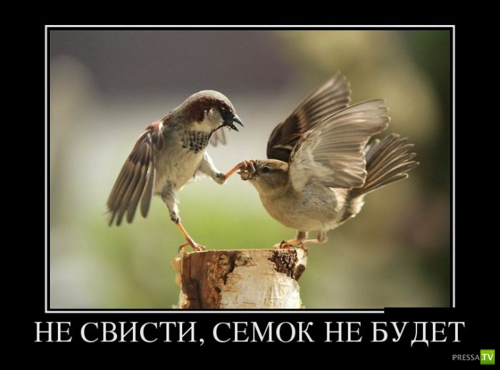 ������������ �� ����, ����� 2 (30 ����)