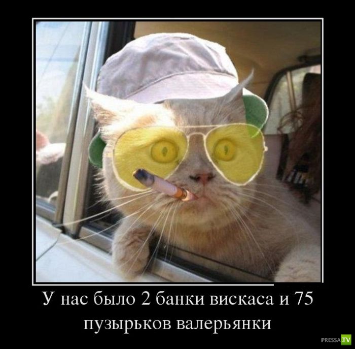 ������������ �� ����, ����� 2 (30 ����)