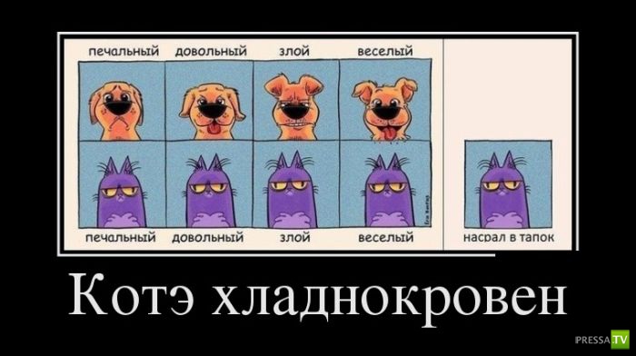 ������������ �� ����, ����� 2 (30 ����)