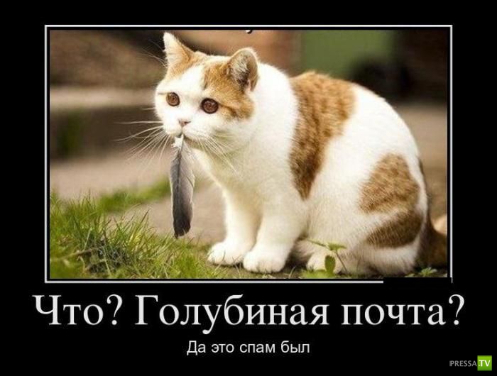 ������������ �� ����, ����� 2 (30 ����)