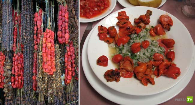 ������������ "�����" �� ������� ��� (3 ����)