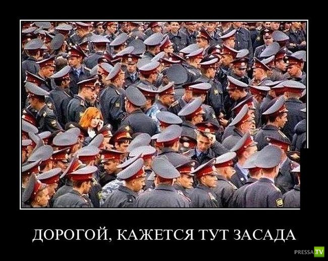 ������������ �� ����, ����� 4 (30 ����)