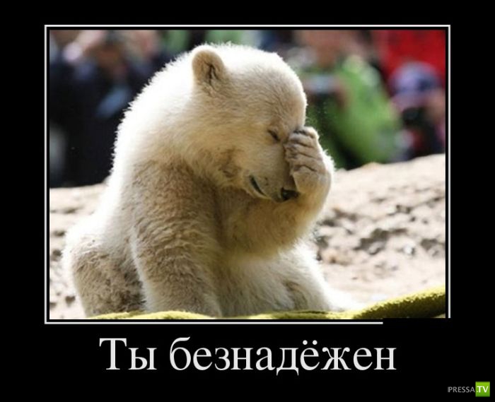 ������������ �� ����, ����� 4 (30 ����)