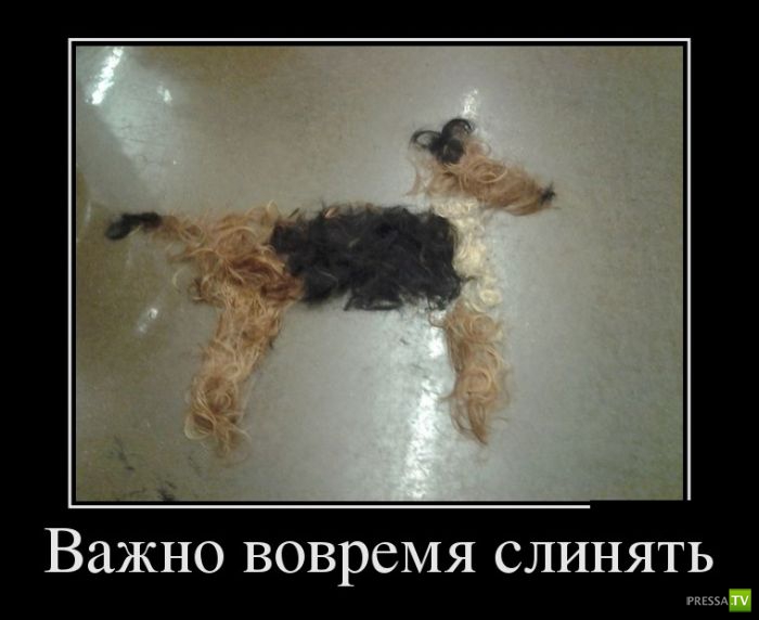 ������������ �� ����, ����� 4 (30 ����)