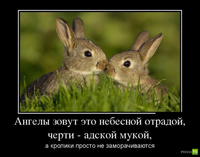 ������������ �� ����, ����� 4 (30 ����)