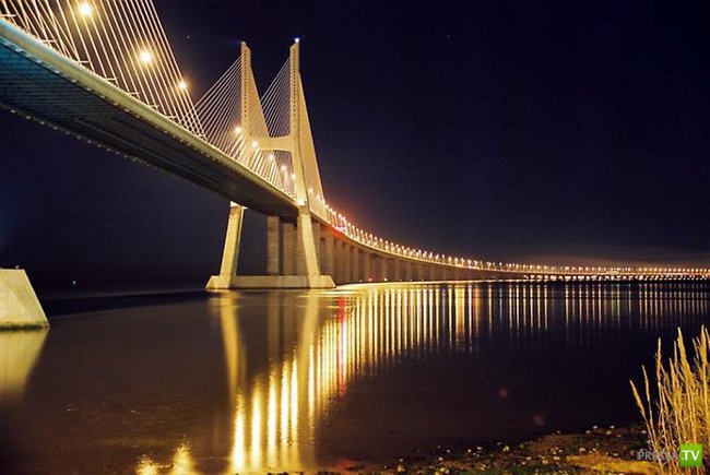 ���� ����� �� ���� - ����� ������� � ������ (13 ����)