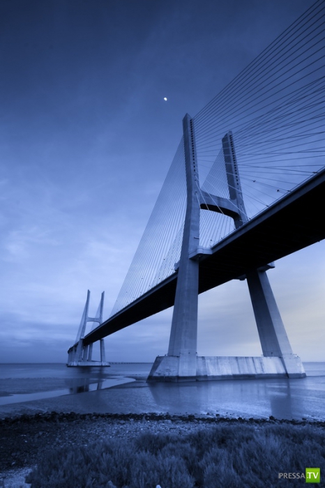 ���� ����� �� ���� - ����� ������� � ������ (13 ����)