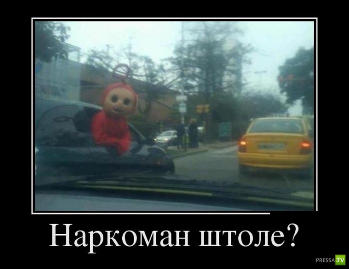 ������������ �� ����, ����� 6 (30 ����)