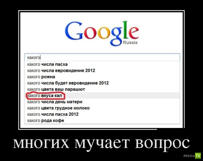 ������������ �� ����, ����� 6 (30 ����)