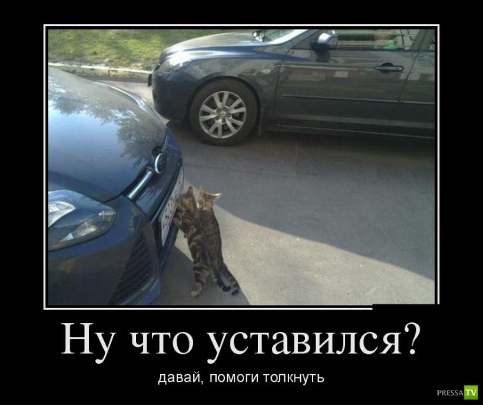 ������������ �� ����, ����� 6 (30 ����)