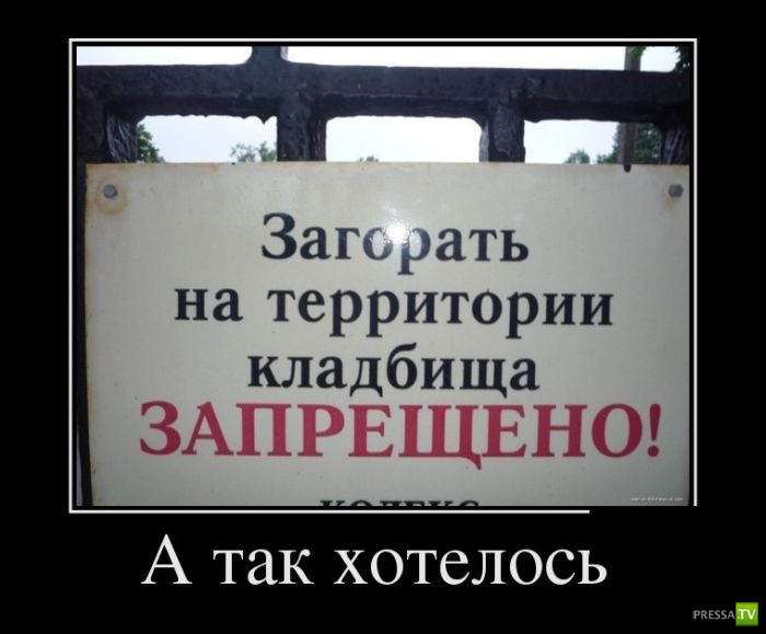 ������������ �� ����, ����� 6 (30 ����)