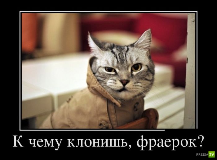 ������������ �� ����, ����� 6 (30 ����)