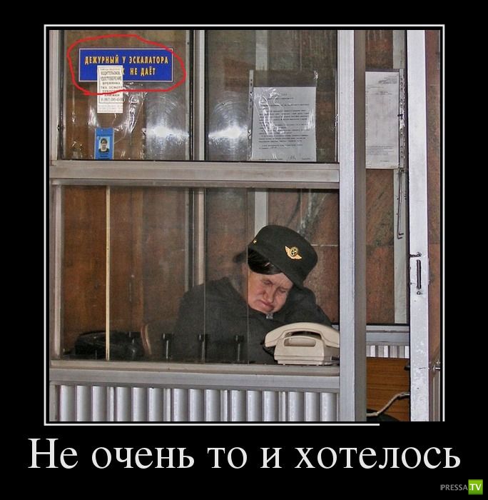 ������������ �� ����, ����� 6 (30 ����)