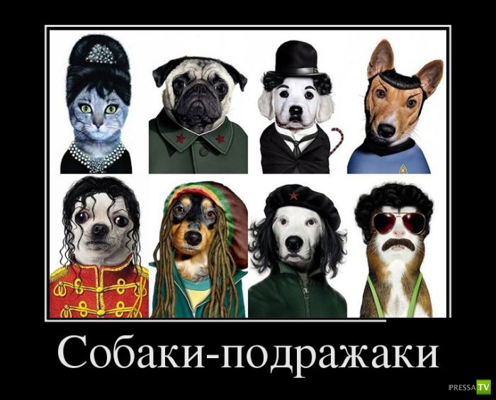 ������������ �� ����, ����� 6 (30 ����)