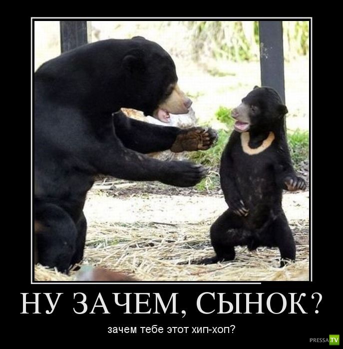 ������������ �� ����, ����� 6 (30 ����)