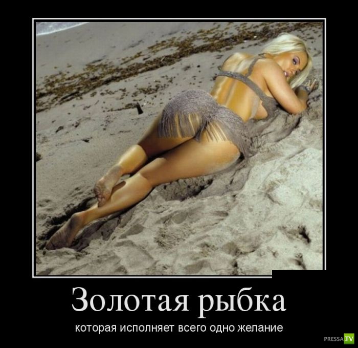 ������������ �� ����, ����� 6 (30 ����)