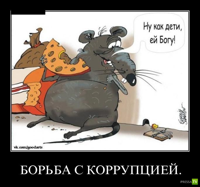 ������������ �� ����, ����� 7 (29 ����)