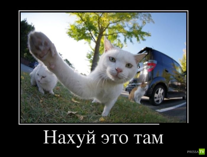 ������������ �� ����, ����� 7 (29 ����)