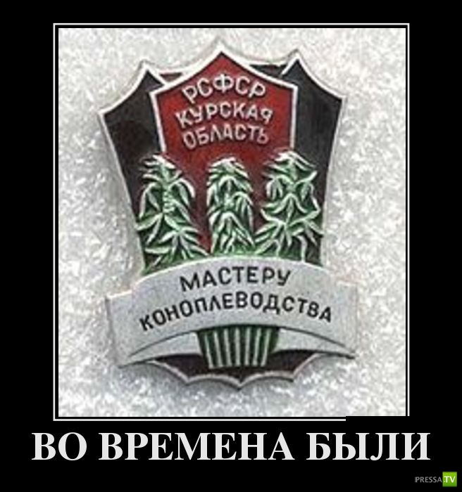 ������������ �� ����, ����� 7 (29 ����)