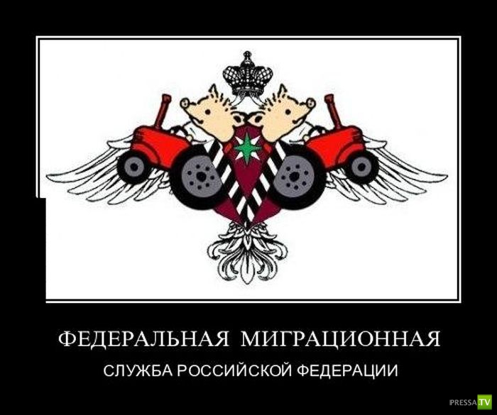 ������������ �� ����, ����� 7 (29 ����)