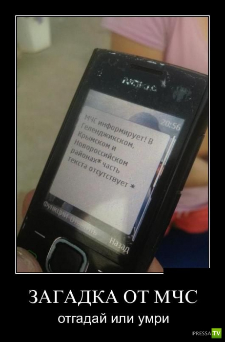 ������������ �� ����, ����� 7 (29 ����)