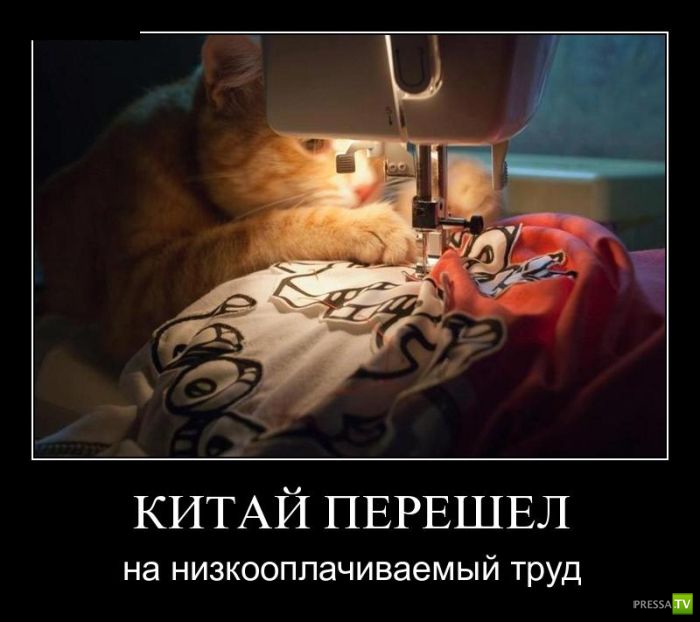 ������������ �� ����, ����� 7 (29 ����)