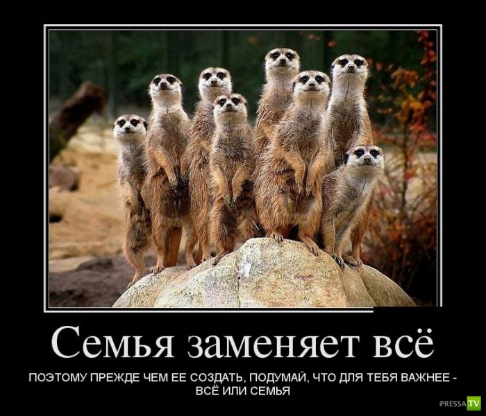 ������������ �� ����, ����� 7 (29 ����)