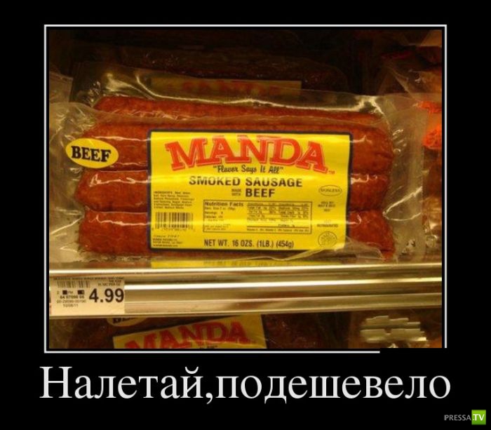 ������������ �� ����, ����� 7 (29 ����)